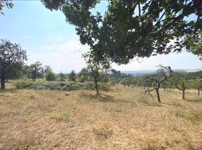 Sonstiges, Ackerland in Auf dem Schildlande, 65207 Wiesbaden, Breckenheim - Bild 6