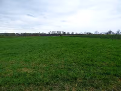 land- und forstwirtschaftlich genutztes Grundstück in Gemarkung Starbach, keine Straße, 01683  Nossen - Bild 2